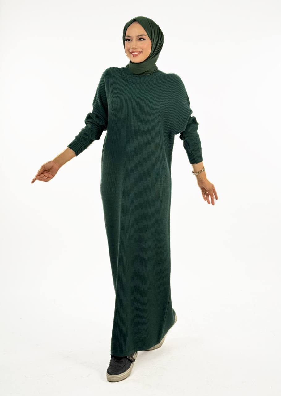 RUHENA Strickkleid mit halbhohem Rollkragen – Einheitsgröße (36–46) | RH-B-EL-0015